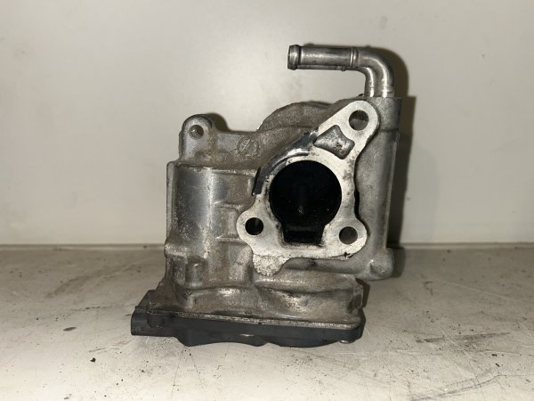 EGR varsts